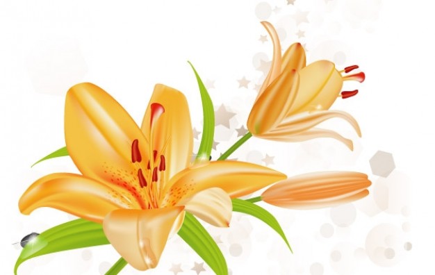 Flower lily Shopping illustration about Valentine's Day Dried and Preserved
